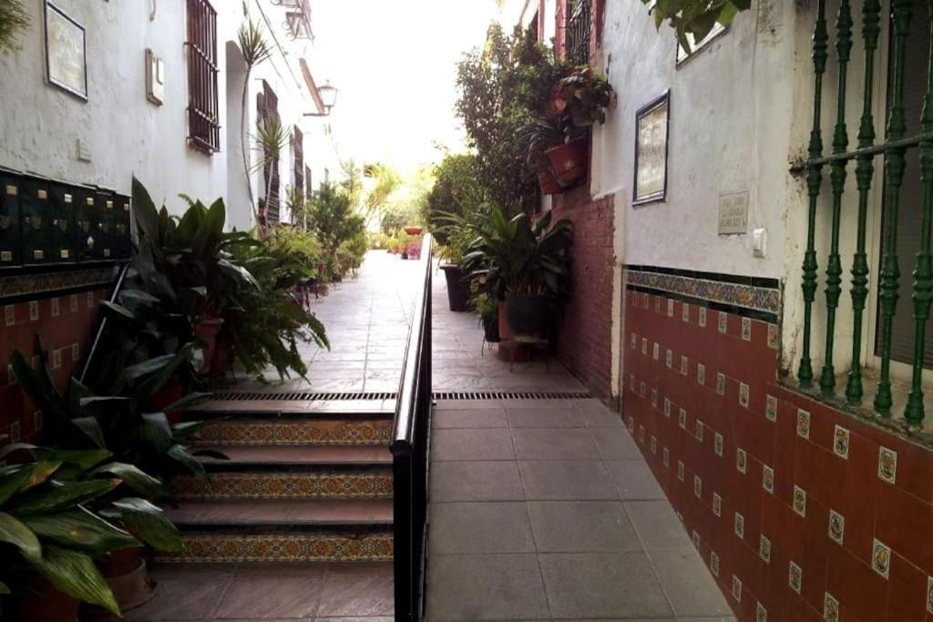 Tipico Y Pintoresco Patio De Vecinos, Con Encanto Севиля Екстериор снимка