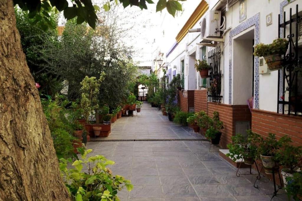 Tipico Y Pintoresco Patio De Vecinos, Con Encanto Севиля Екстериор снимка