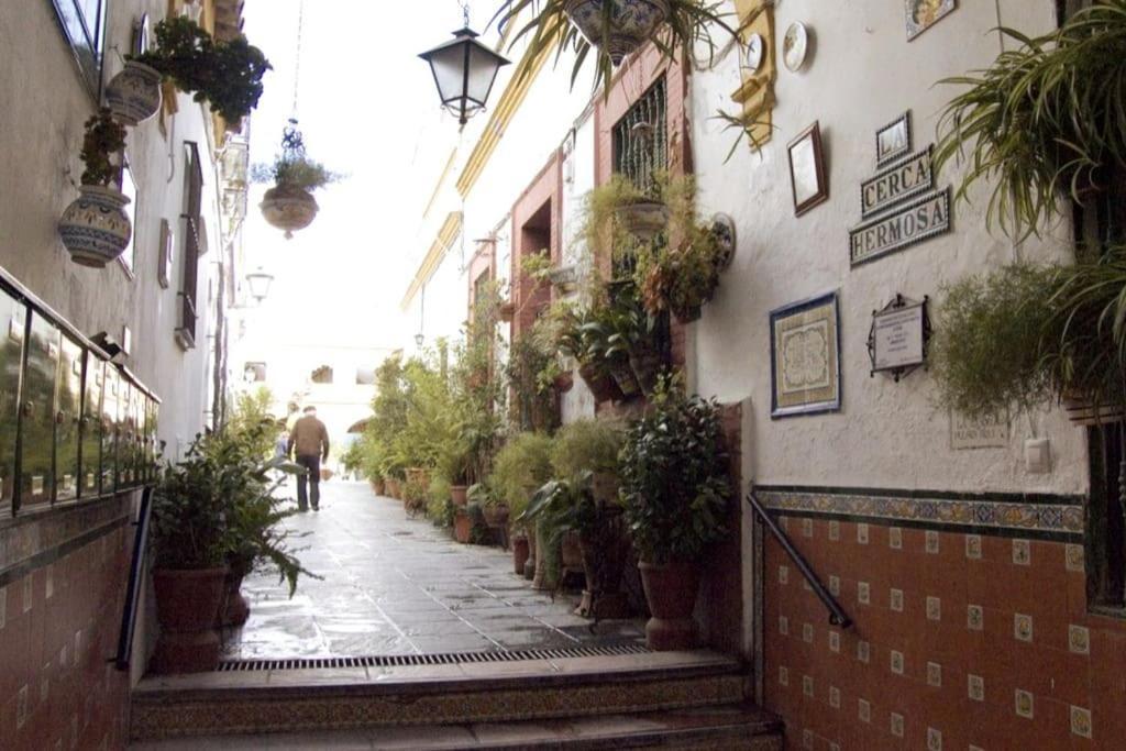 Tipico Y Pintoresco Patio De Vecinos, Con Encanto Севиля Екстериор снимка