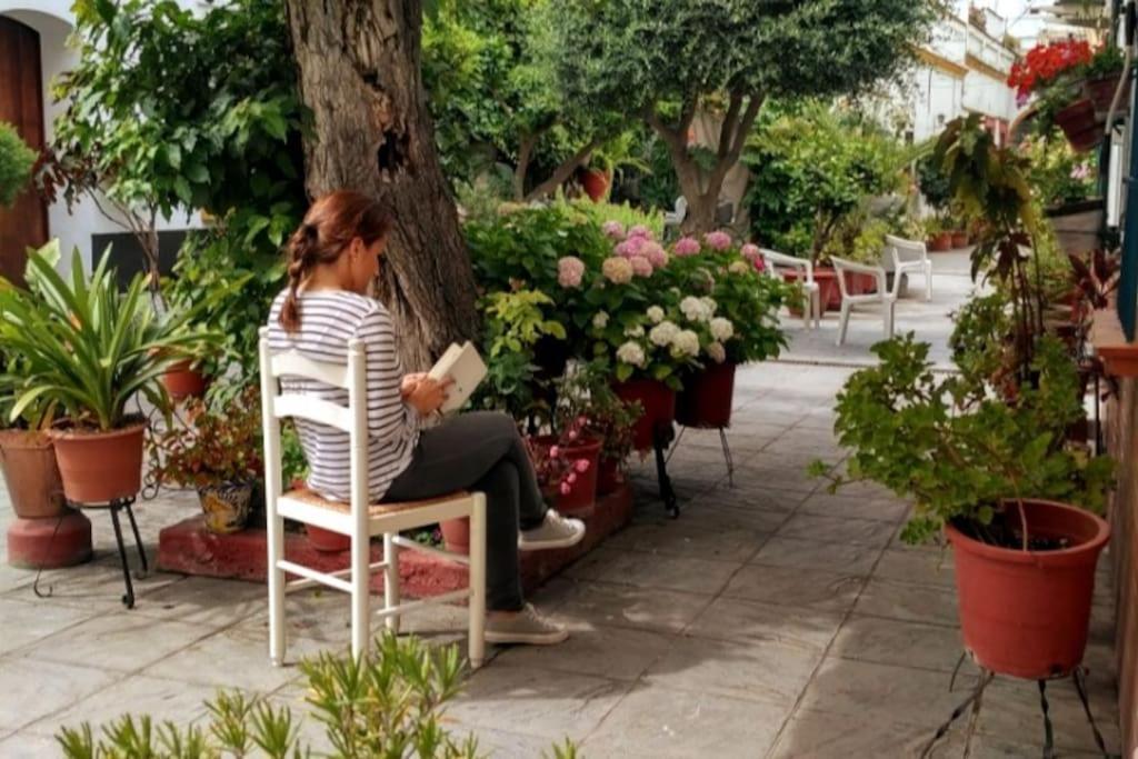 Tipico Y Pintoresco Patio De Vecinos, Con Encanto Севиля Екстериор снимка